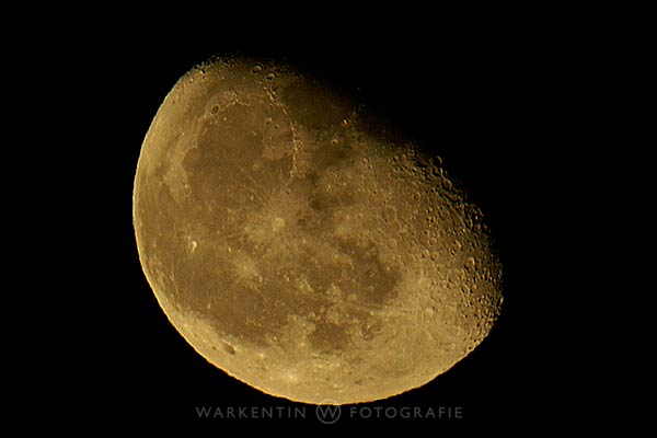 Hier war eine Brennweite von 900 mm im Einsatz, dass dazu ein sehr stabiles Stativ nötig ist, versteht sich fast von selbst. (Foto: Karl H. Warkentin)